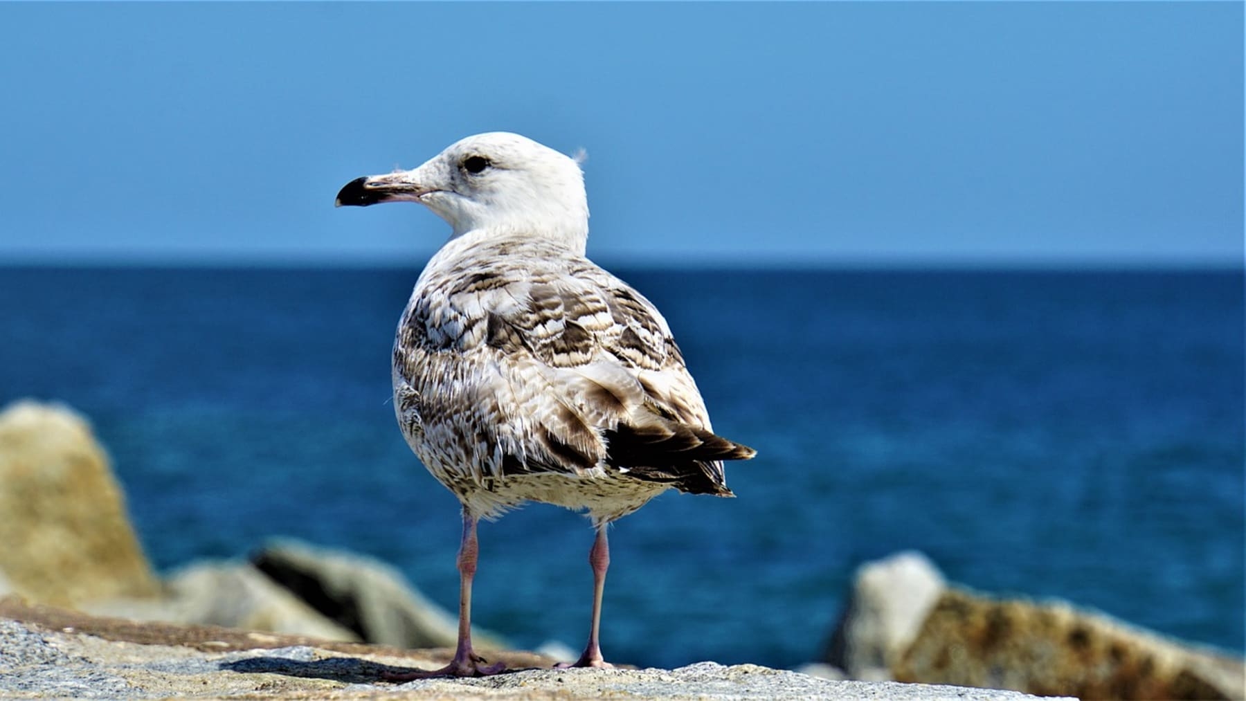 Ostseebad Sellin