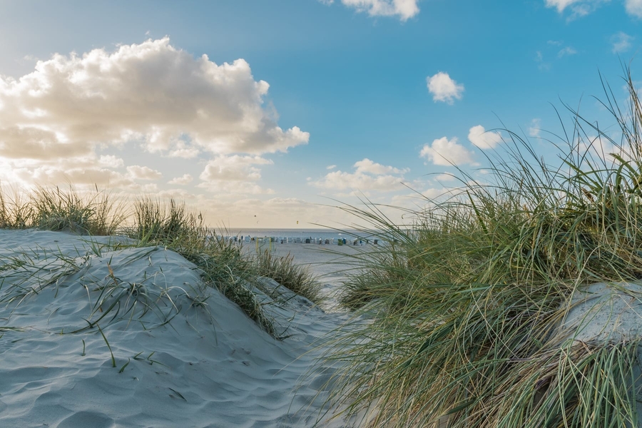 🌤️ Strandbutler 🏖️ Schillig Strand Strandbutler online Strandkorb