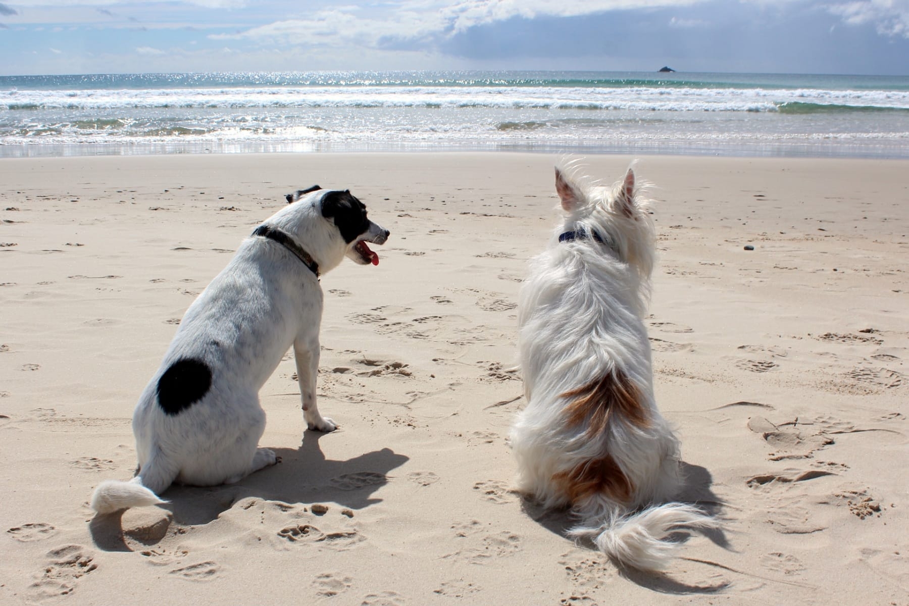 Hundestrand Hooksiel