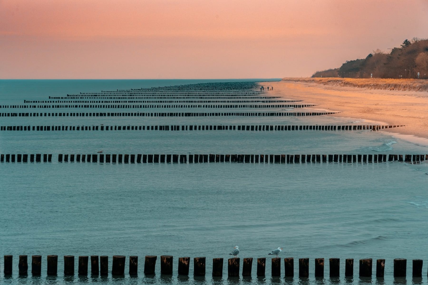 Zingst Strand