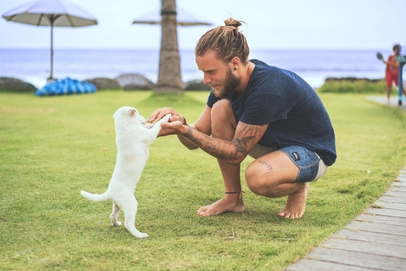 Grünstrand mit Hund (Schillig)