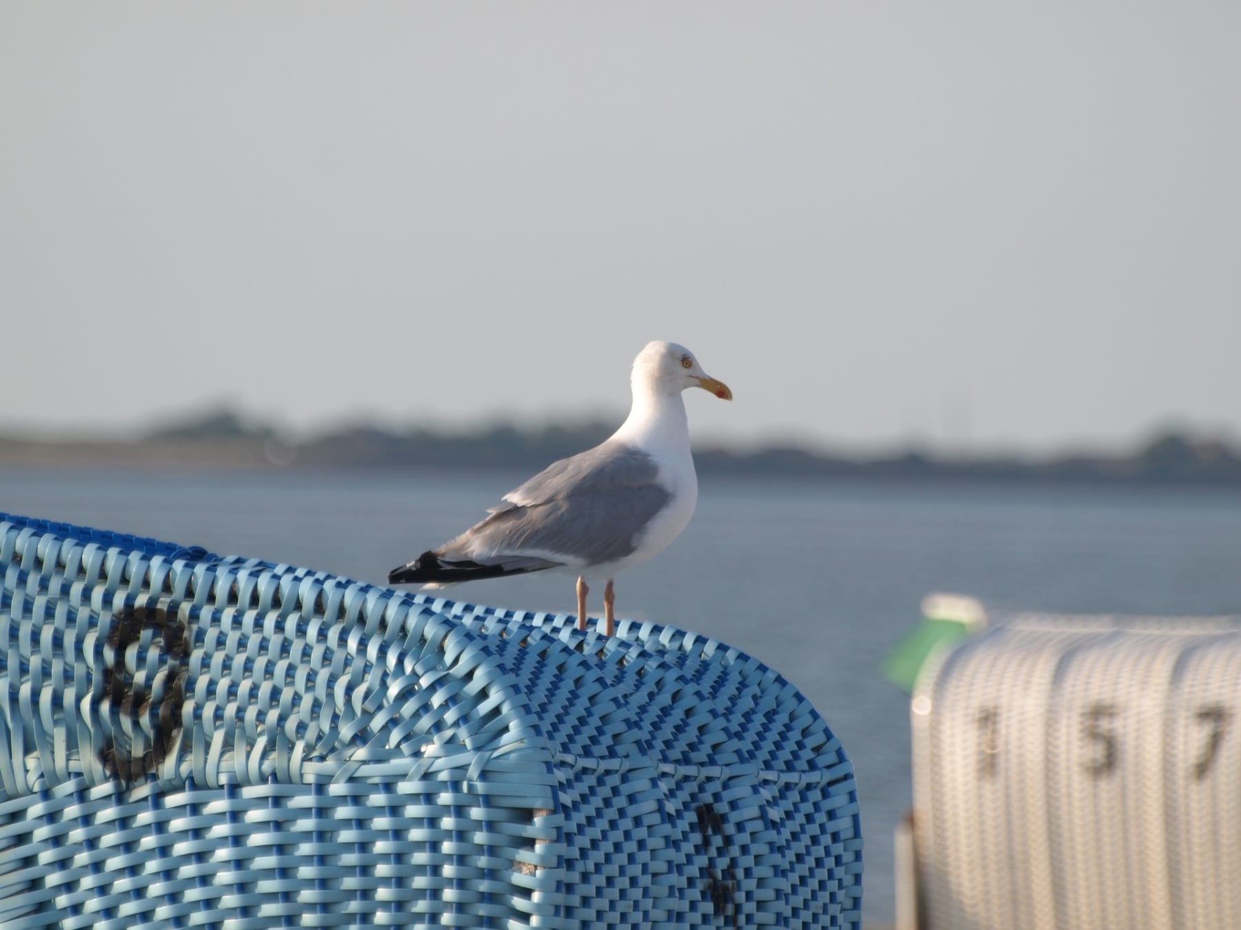 Strandbad Hooksiel