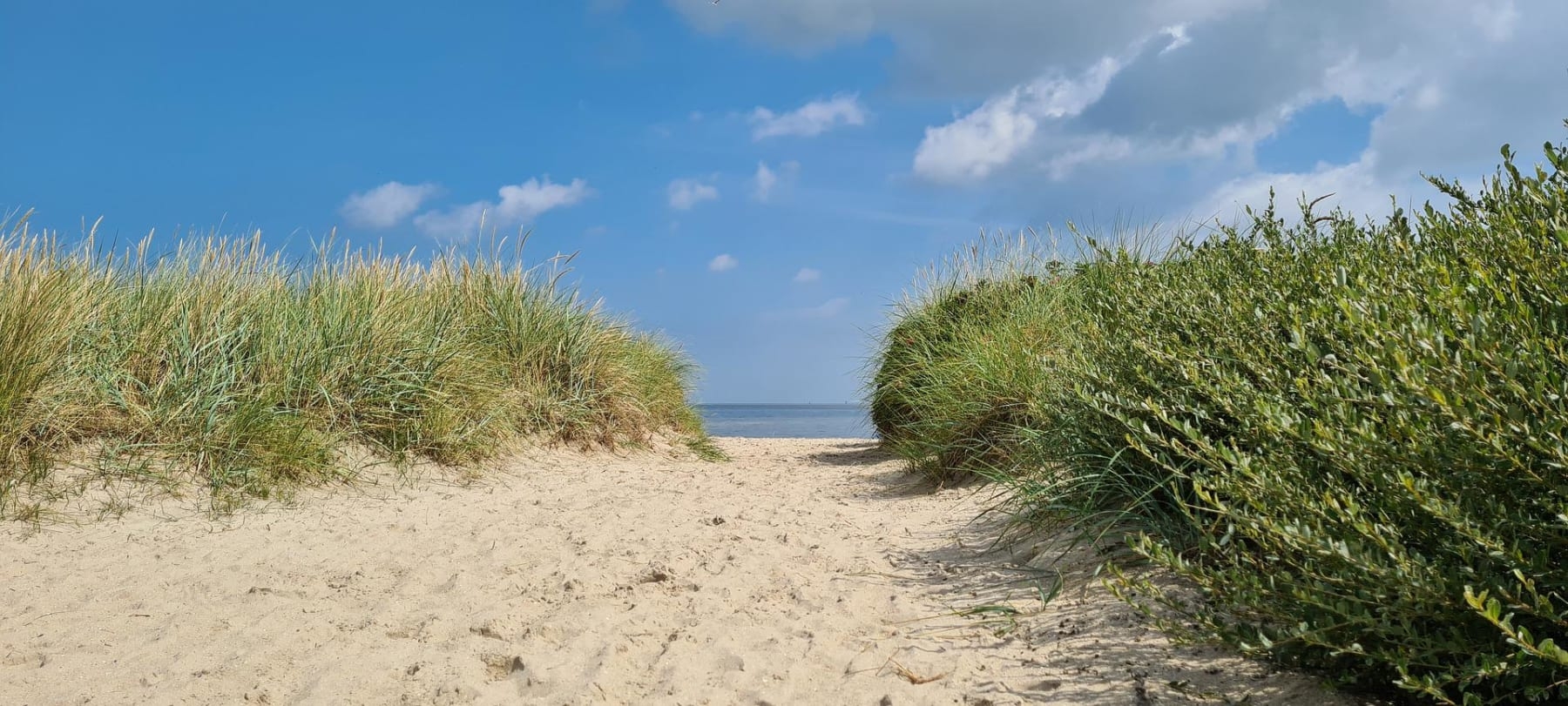 Hooksieler Strand