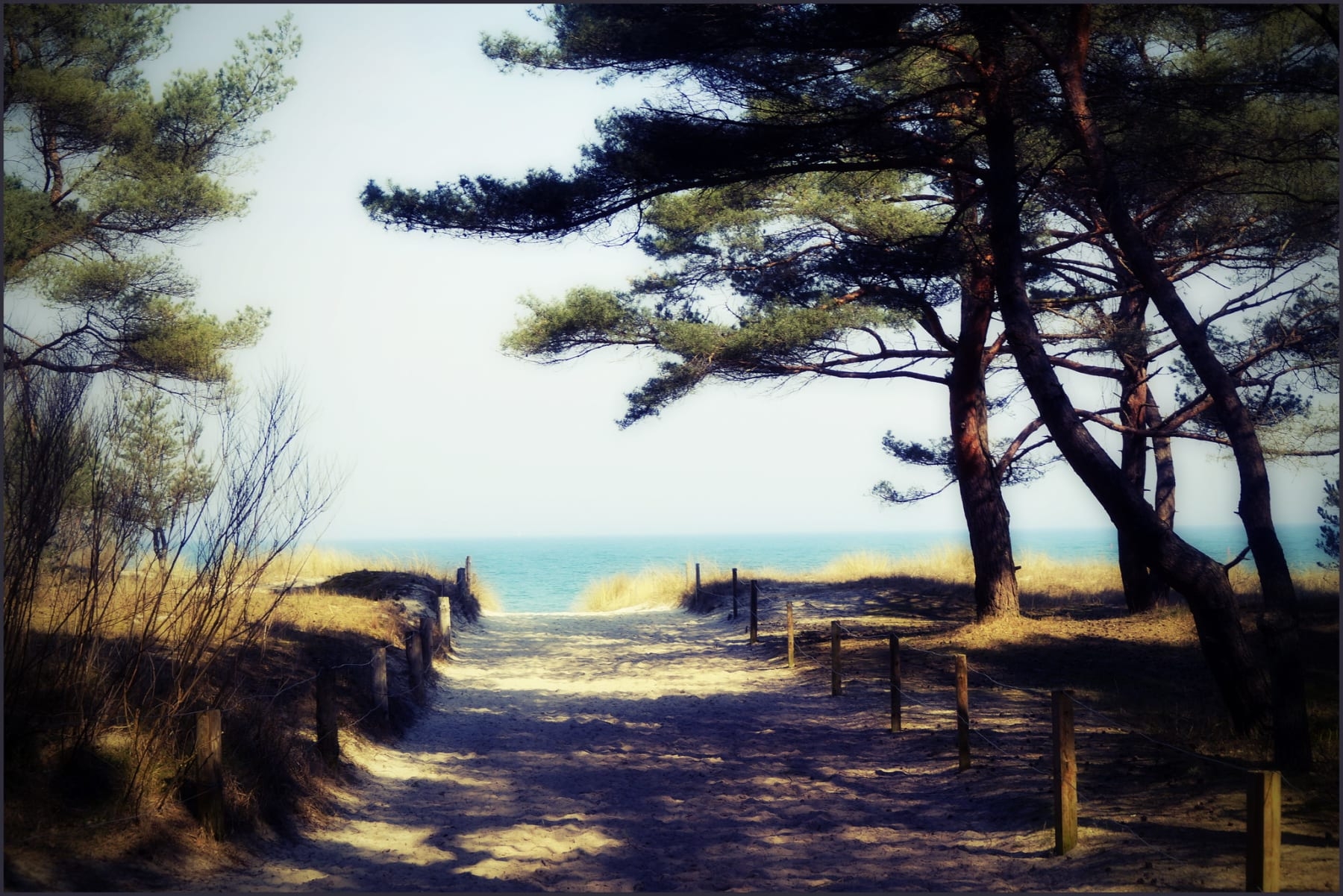 Trassenheide Strand